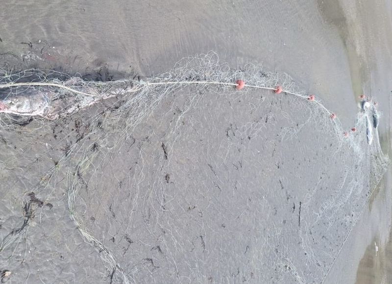 Refuerzan los operativos de fiscalización en zonas de pesca deportiva en la provincia