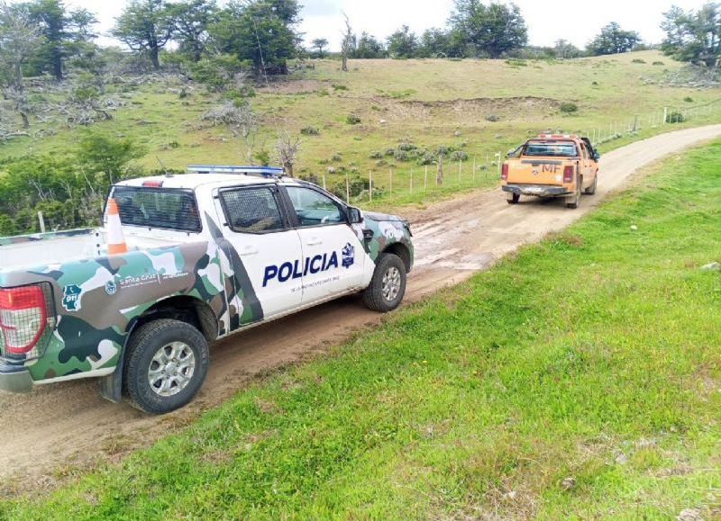 El CAP y Seguridad fortalecen fiscalización y manejo responsable de bosques nativos en Río Turbio