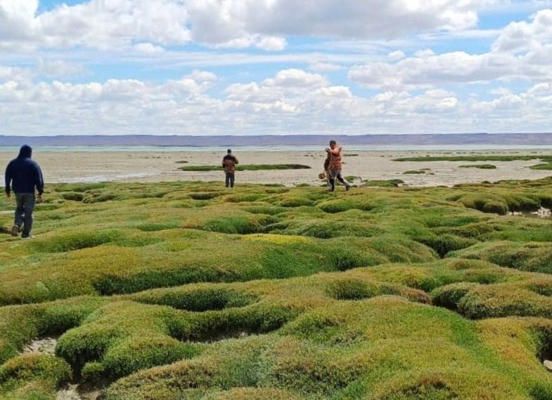 Amplio despliegue institucional en la búsqueda de Gabriel Mileca